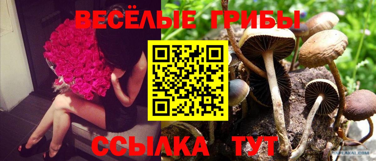 Галлюциногенные грибы ЛСД Кирово-Чепецк