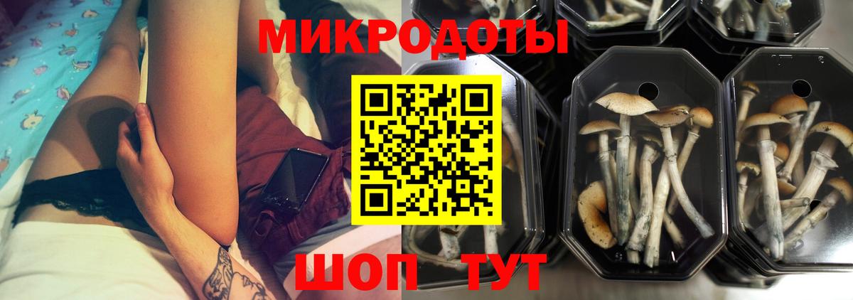Псилоцибиновые грибы Psilocybine cubensis  Вход с VPN  Кирово-Чепецк 