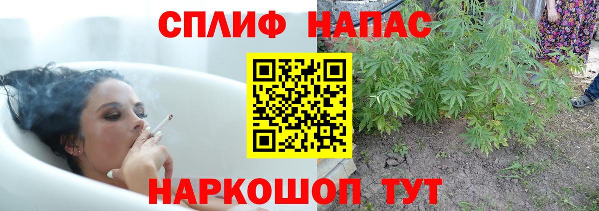 Бошки Шишки марихуана  Шишки марихуана планчик  Кирово-Чепецк  Вход с VPN  Конопля тримм 